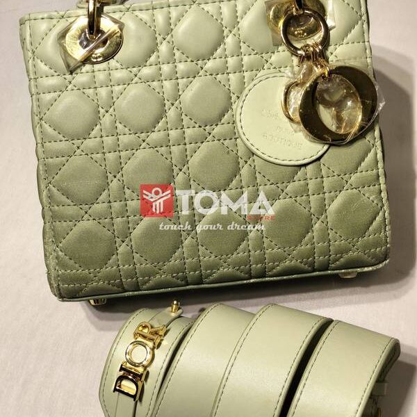 lady dior bag