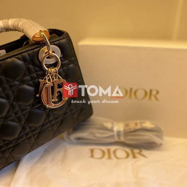lady dior bag