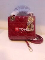 lady dior bag mini