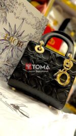 lady dior bag