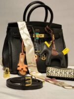 hermes h25