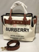 CANVAS HORSEFERRY BELT SATCHEL