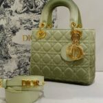 lady dior bag