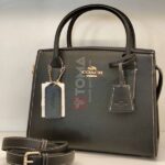 andrea small carryall