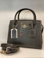 andrea small carryall