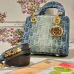 lady dior bag