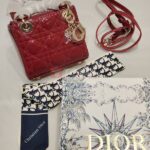 lady dior bag mini