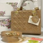mini lady dior bag
