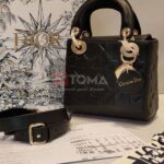 lady dior bag