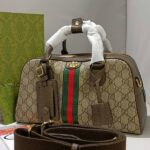 borsa ophidia beige marrone scuro