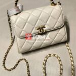 mini flap bag with top handel