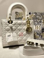dior 1691