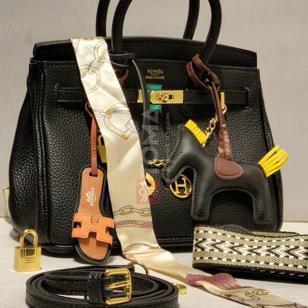 hermes h25