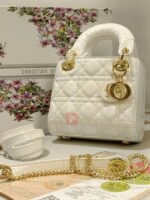 dior 581211