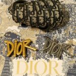 BELTBOX DIOR 4254
