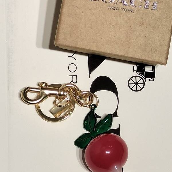 coach madelya 1454