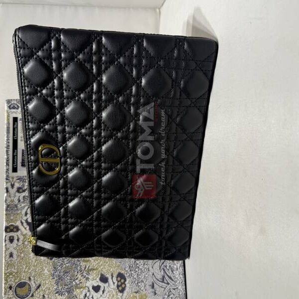 dior clutch 06691