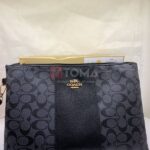 clutch copy coach 5872