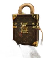 camera box monogram canvas