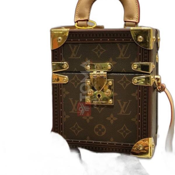 camera box monogram canvas