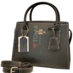 andrea small carryall