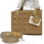 mini lady dior bag