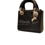 lady dior bag