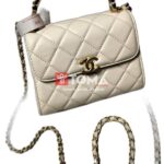 mini flap bag with top handel