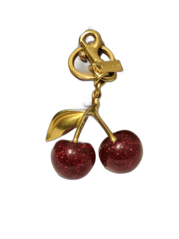 4665 coach madelya - Image 1