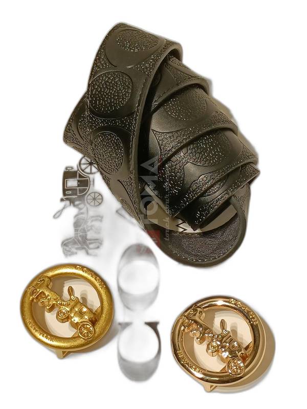 5138 BELTBOX COACH 50604 - Image 1