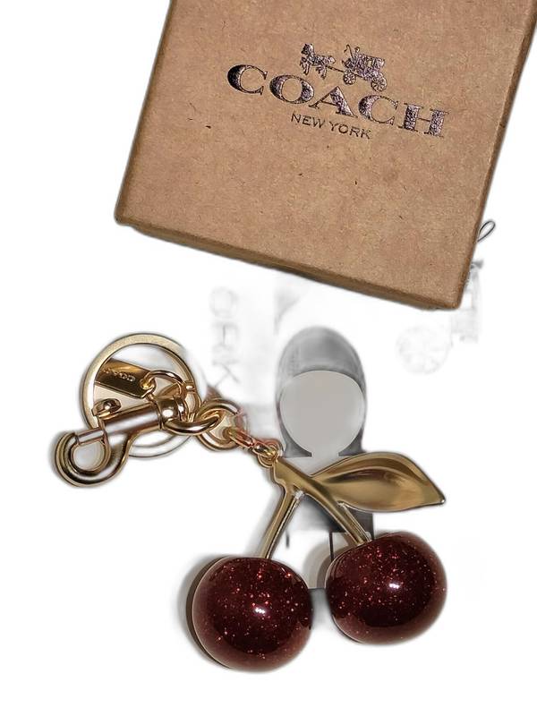 5365 coach madelya 1453 - Image 1
