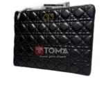 dior clutch 06691