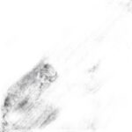 desigual 11067 - Image 5