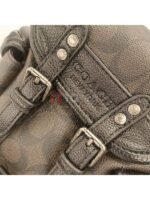 coach 068-2 - Image 4