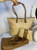 coach 808-1 - Image 4