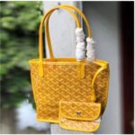 GOYARD 6893